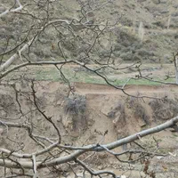 اجاره سوئیت رودهن دماوند|اجارهٔ کوتاه‌مدت آپارتمان و سوئیت|رودهن, |دیوار