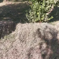 فروش هشتاد پرس یونجه خشک  ده تاش کمی علف داره