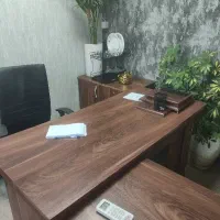 منشی خانم