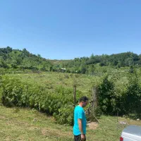 زمین روستای توریستی ایشیان