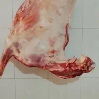 گوشت کاور جیگر