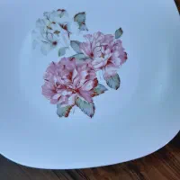 سرویس آکروپال۲۶پارچه|ظروف سرو و پذیرایی|بروجرد, |دیوار