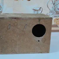 لونه عروس هلندی