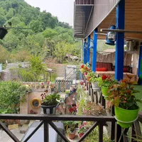 اجاره سوییت ویلا جنگلی کلبه