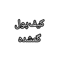 یک عدد کیف پول گم شده