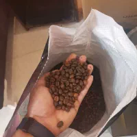 قهوه عمده به قیمت کف بازار