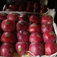 کار در میوه فروشی|استخدام خدمات فروشگاه و رستوران|ارومیه, |دیوار