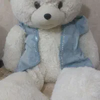 خرس مخصوص ولنتاین