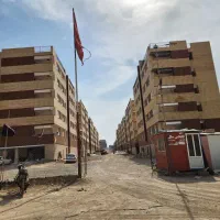 فیش مسکن