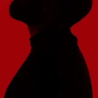 یک عدد بلیت کنسرت آرمان گرشاسبی