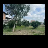 فروش 2000متر زمین مسکونی در قائمشهر