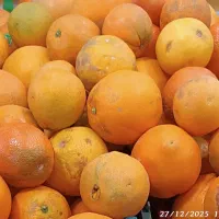 پرتقال شیرین سایز درشت