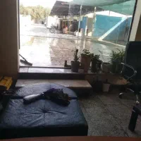 کارواش کار ماهر و ساده