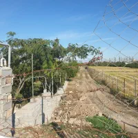 فروش زمین با مجوز گلخانه|فروش زمین و ملک کلنگی|ساری, |دیوار