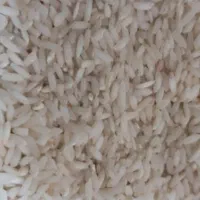 برنج چمپا یاسوج