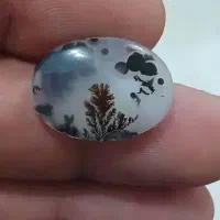 سنگ شجر و انگشتر زبرجد اصل رکاب شاکری