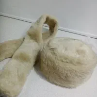 شال و کلاه خز|لباس|فردیس, فردیس|دیوار