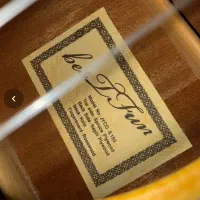 گیتار کلاسیک بست فان