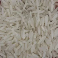 برنج فجر سوزنی