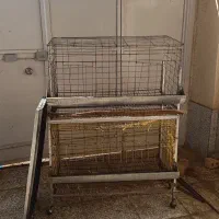 قفس مکانیزه مرغ تخمگذار