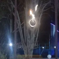 آشپز همراه وسایل جهت همکاری