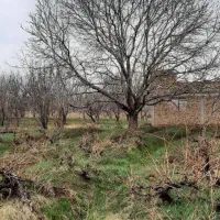 باغ نورین جنب رودخانه ابهر چای