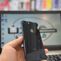8plus 64