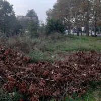 ۲۸۰ متر زمین مسکونی داخل شهر کوچصفهان