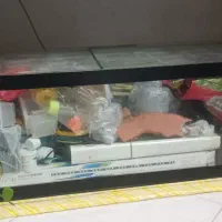 آکواریوم|ماهی|اصفهان, برازنده|دیوار