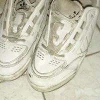 کفش تر تمیز