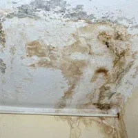 نشت یابی صدرصد تضمینی