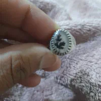 انگشتر شجر قاین
