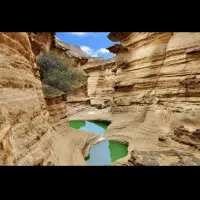 گشت جزیره|تور و چارتر|قشم, |دیوار