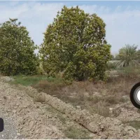 زمین ویلا باغ حاج خادمی