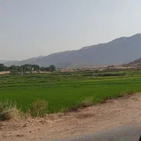فروش-2دو-قطعه-زمین-لاور-ده