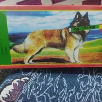 نور افشانی چهارشنبه سوری