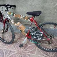 دوچرخه‌26(viva)