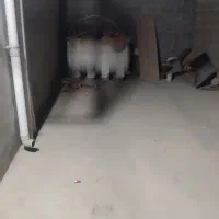 خونه تک خواب بندر پرک|فروش آپارتمان|سیراف, |دیوار