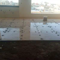 کاشی کار سرامییک کار|خدمات پیشه و مهارت|مشهد, هدایت|دیوار