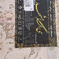 فرش فروشی|فرش|رودهن, |دیوار