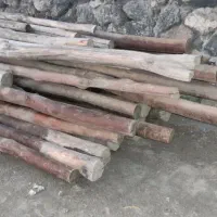 چوپ پنج متری درجه یک