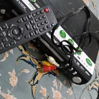 DVD|پخشکننده DVD و ویدیو|بوشهر, |دیوار