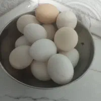 فروش،تخم مرغ نطفه دار محلی