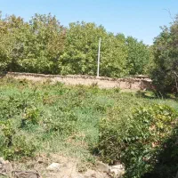 فروش باغ در لوکیشن عالی|فروش خانه و ویلا|دهاقان, |دیوار