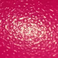 دسته PS5 ، dualsens دوال سنس|کنسول، بازی ویدئویی و آنلاین|اصفهان, گرکان|دیوار