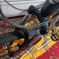 دوچرخه|دوچرخه، اسکیت، اسکوتر|شاندرمن, |دیوار