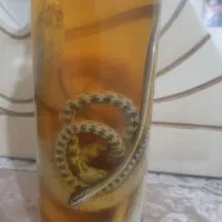 مار دکوری تو الکل