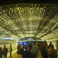 ریسه نگینی ۵۰متری