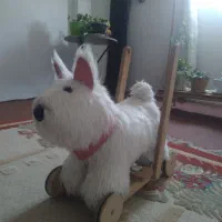 سرگرمی