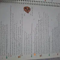 ای کیو جامع زیست برای کنکور ۴۰۲|کتاب و مجله آموزشی|تهران, توحید|دیوار